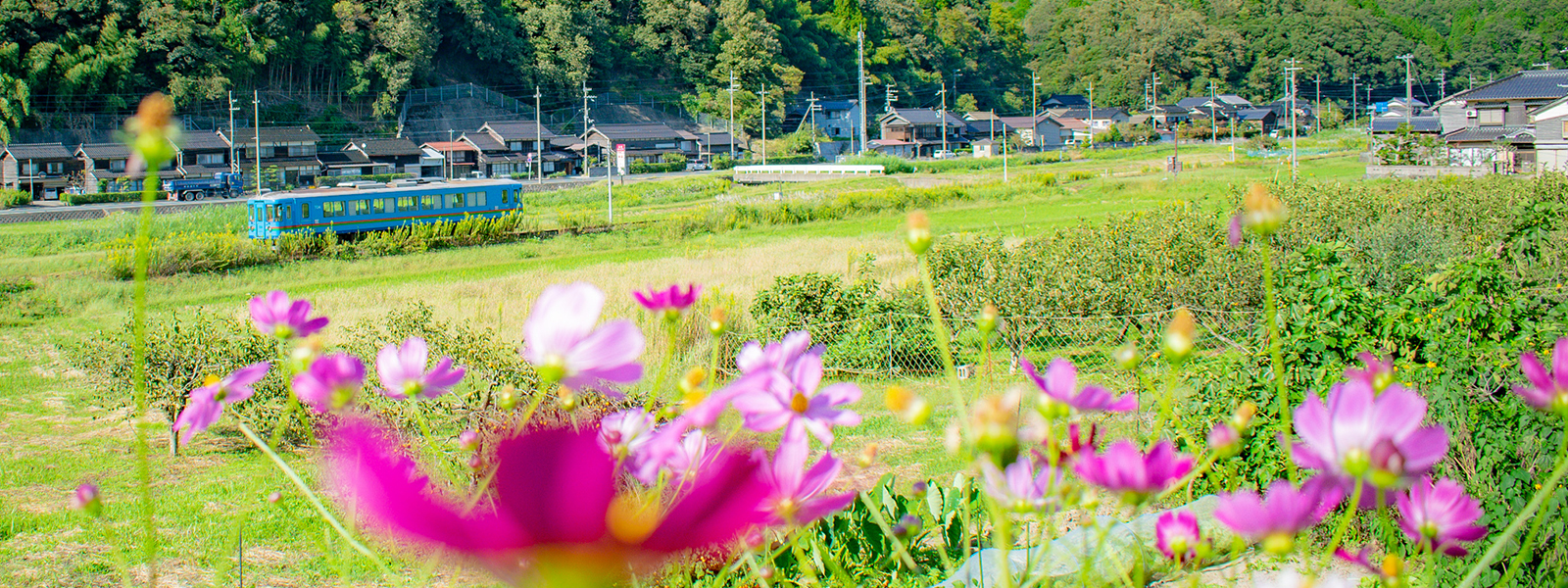 夕日ヶ浦木津温泉